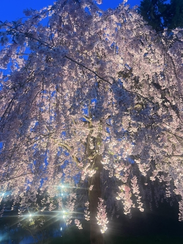 5月もよろしくお願いします！画像１