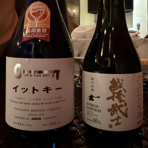 ALP 画像３