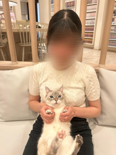 ねこちゃん🐱画像１