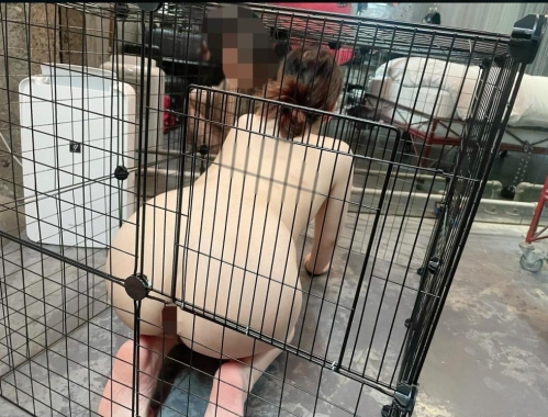 奴隷犬🐶🐾画像１