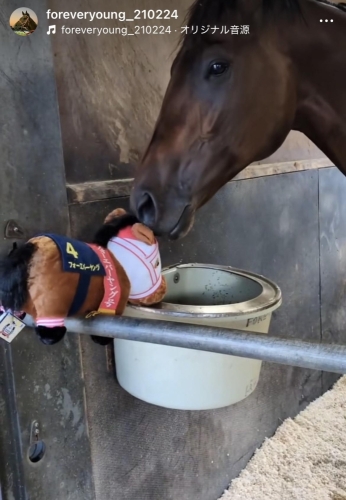 Forever young 🏇💨画像１