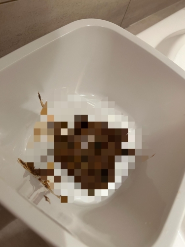 スカトロで…画像３