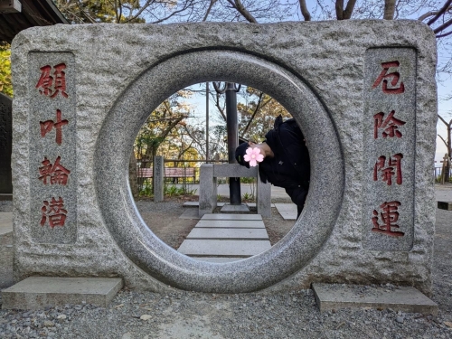 休日。画像２