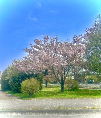 無事帰宅しました！画像１