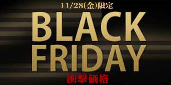 ★1日限定ブラックフライデーで衝撃価格★